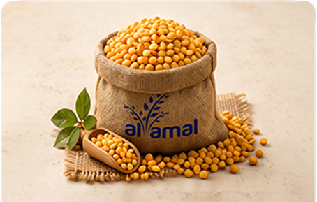 Split Chickpeas