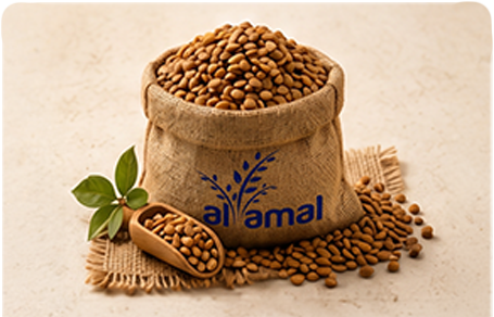 Yellow Lentil