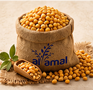 Yellow Pea