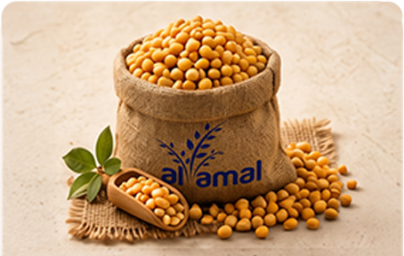 Yellow Pea