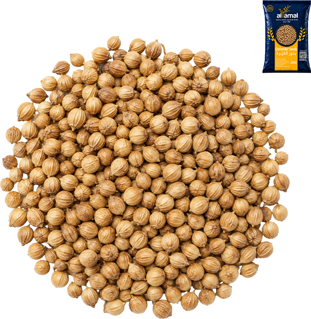 Coriander Seeds