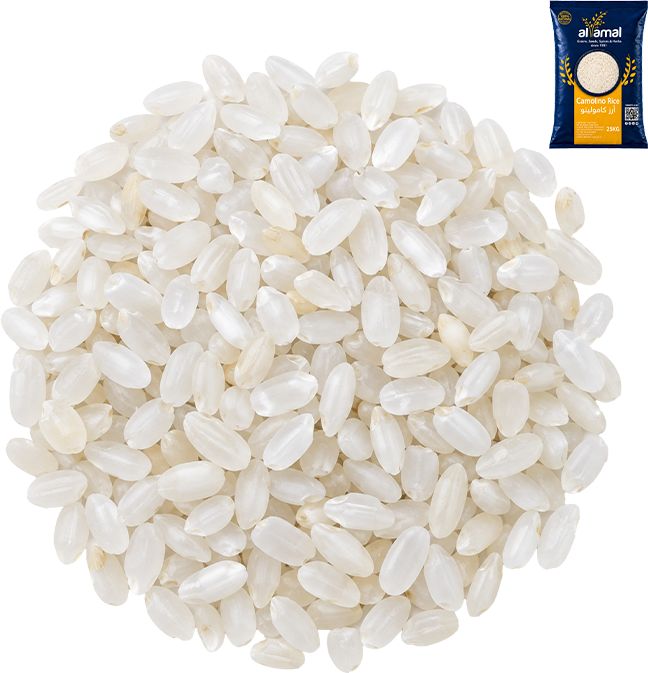 Egyptian Camolino Rice