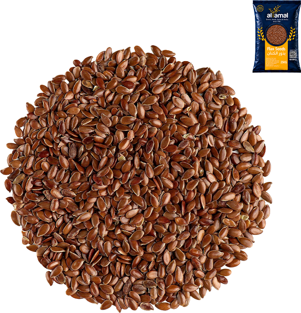Flax Seeds
