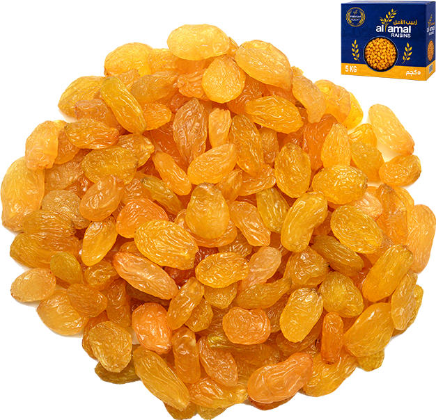 Raisns