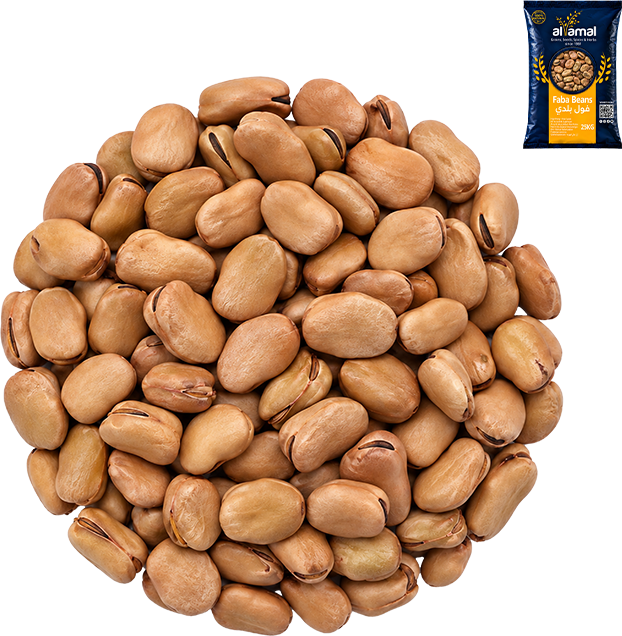 Faba Beans